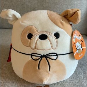 New Squishmallows Halloween Brock the Bulldog with vampire cape